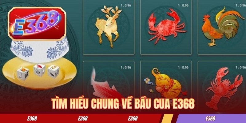 Tìm hiểu chung về bầu cua E368
